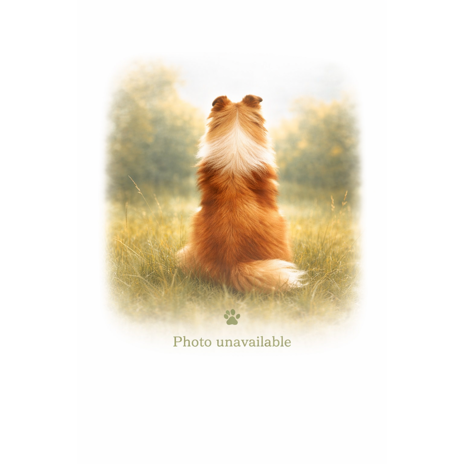 Picture of Aspenleaf's Evening Star